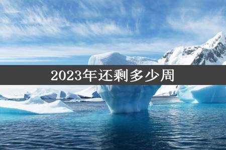 2023年还剩多少周