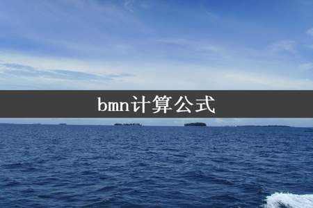 bmn计算公式