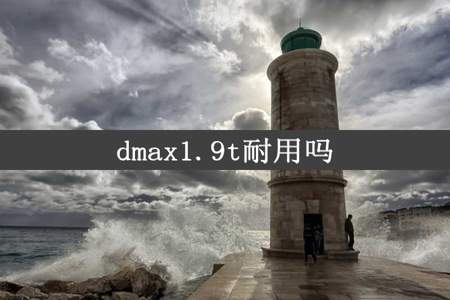 dmax1.9t耐用吗