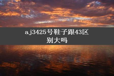 aj3425号鞋子跟43区别大吗