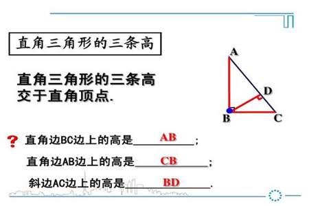 三角形的外角平分线所在直线相交于一点