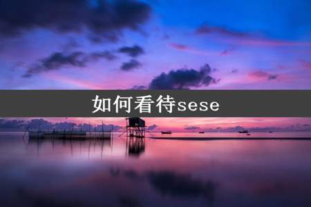 如何看待sese