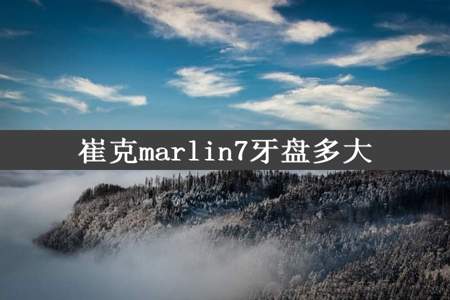 崔克marlin7牙盘多大