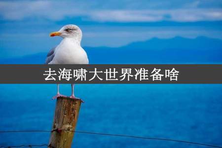 去海啸大世界准备啥