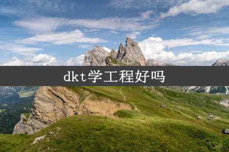 dkt学工程好吗