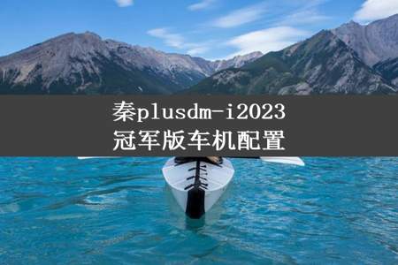 秦plusdm-i2023冠军版车机配置