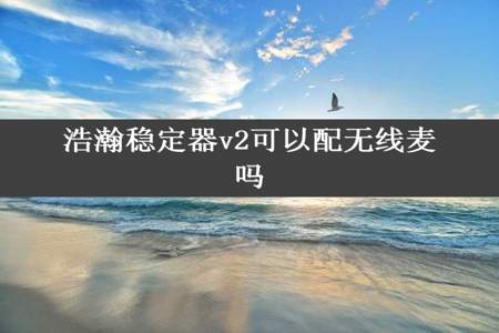 浩瀚稳定器v2可以配无线麦吗