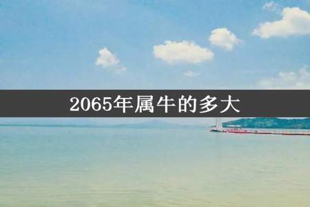 2065年属牛的多大