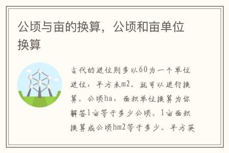 2公顷5平方米等于多少公顷