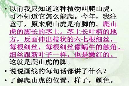 爬山虎的脚是怎样爬山的用画图的方式来表示