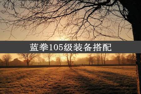 蓝拳105级装备搭配