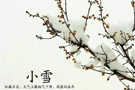 小雪节气古诗词