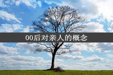 00后对亲人的概念