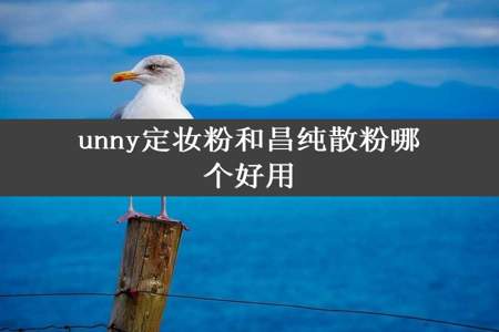 unny定妆粉和昌纯散粉哪个好用