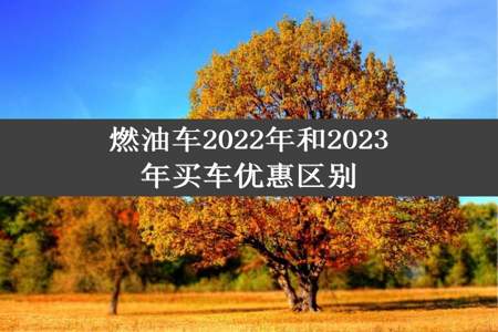 燃油车2022年和2023年买车优惠区别