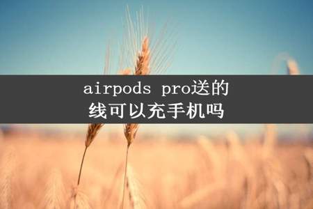 airpods pro送的线可以充手机吗