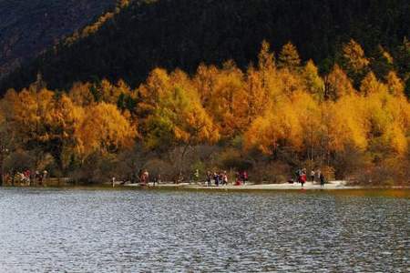 旅游；现在去毕棚沟需要提前预定门票吗