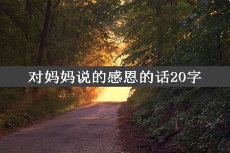 对妈妈说的感恩的话20字