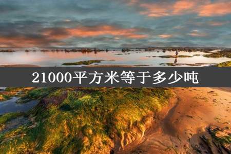 21000平方米等于多少吨