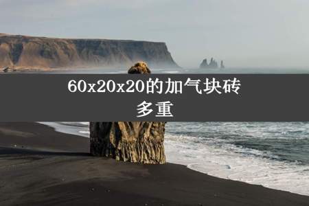 60x20x20的加气块砖多重