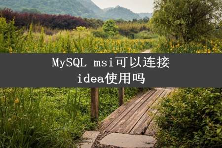 MySQL msi可以连接idea使用吗