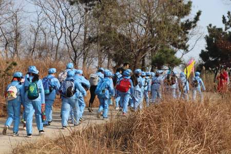 小学研学是国家规定的吗