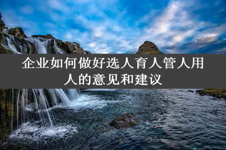 企业如何做好选人育人管人用人的意见和建议