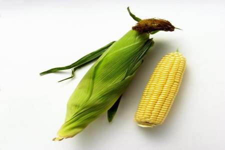 玉米的主要用途