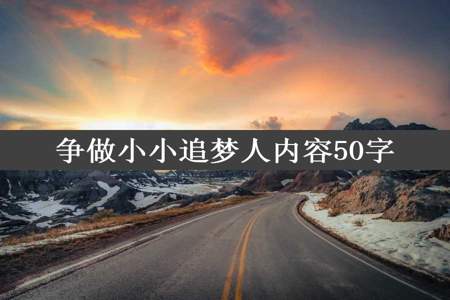 争做小小追梦人内容50字