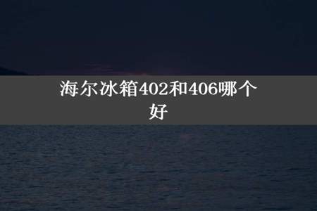 海尔冰箱402和406哪个好