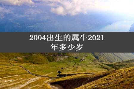 2004出生的属牛2021年多少岁