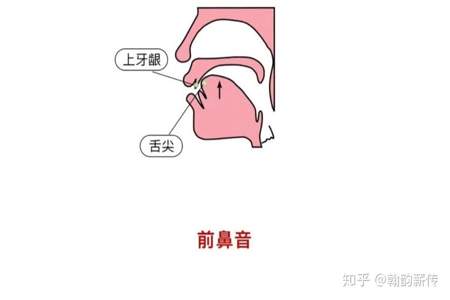 葱是后鼻音吗