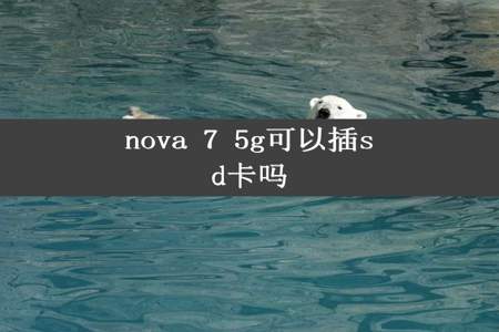 nova 7 5g可以插sd卡吗