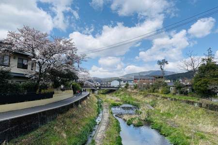 春庭慢季景晟结局