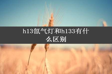 h13氙气灯和h133有什么区别