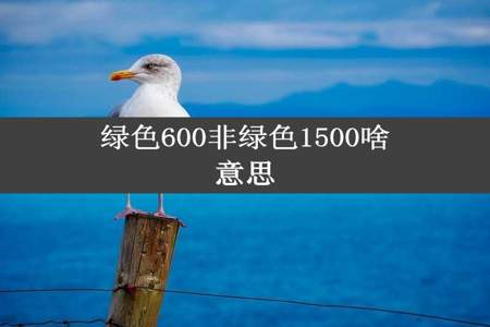 绿色600非绿色1500啥意思