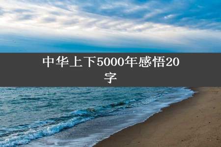 中华上下5000年感悟20字