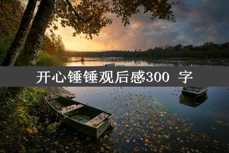 开心锤锤观后感300 字