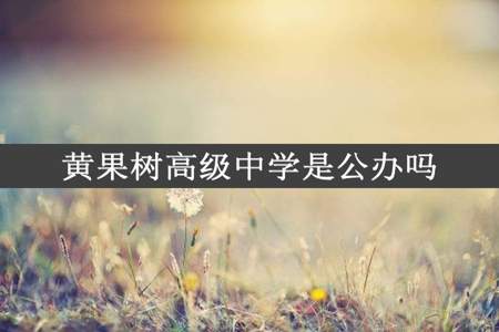 黄果树高级中学是公办吗