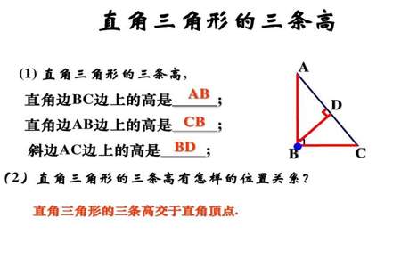 这个三角形有几个角