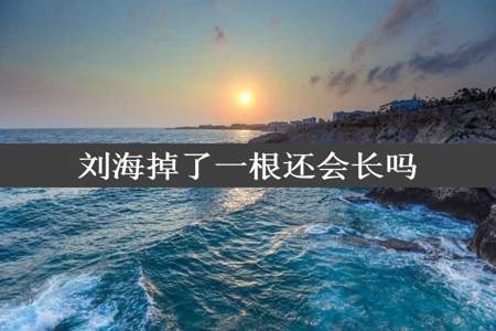 刘海掉了一根还会长吗