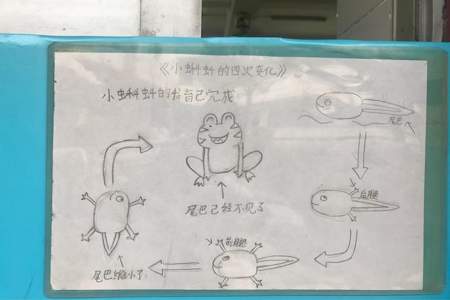 写一句保护小蝌蚪的标语