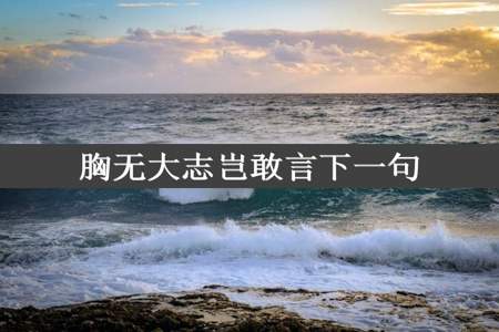 胸无大志岂敢言下一句