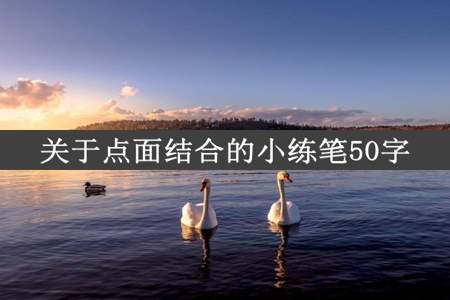 关于点面结合的小练笔50字