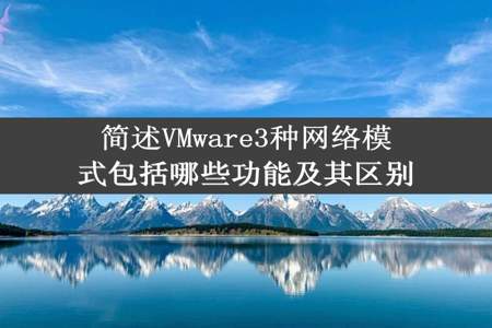 简述VMware3种网络模式包括哪些功能及其区别