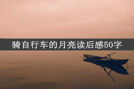 骑自行车的月亮读后感50字