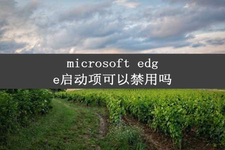 microsoft edge启动项可以禁用吗