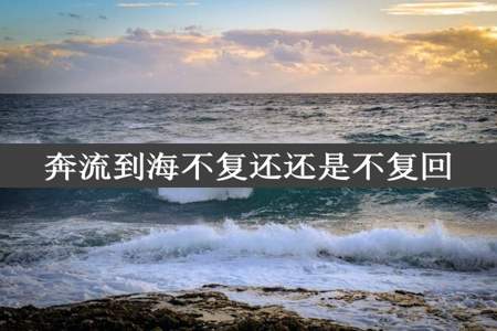 奔流到海不复还还是不复回