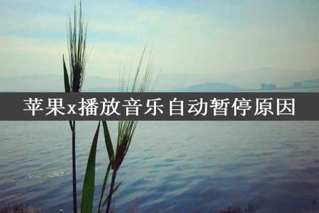 苹果x播放音乐自动暂停原因