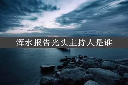 浑水报告光头主持人是谁